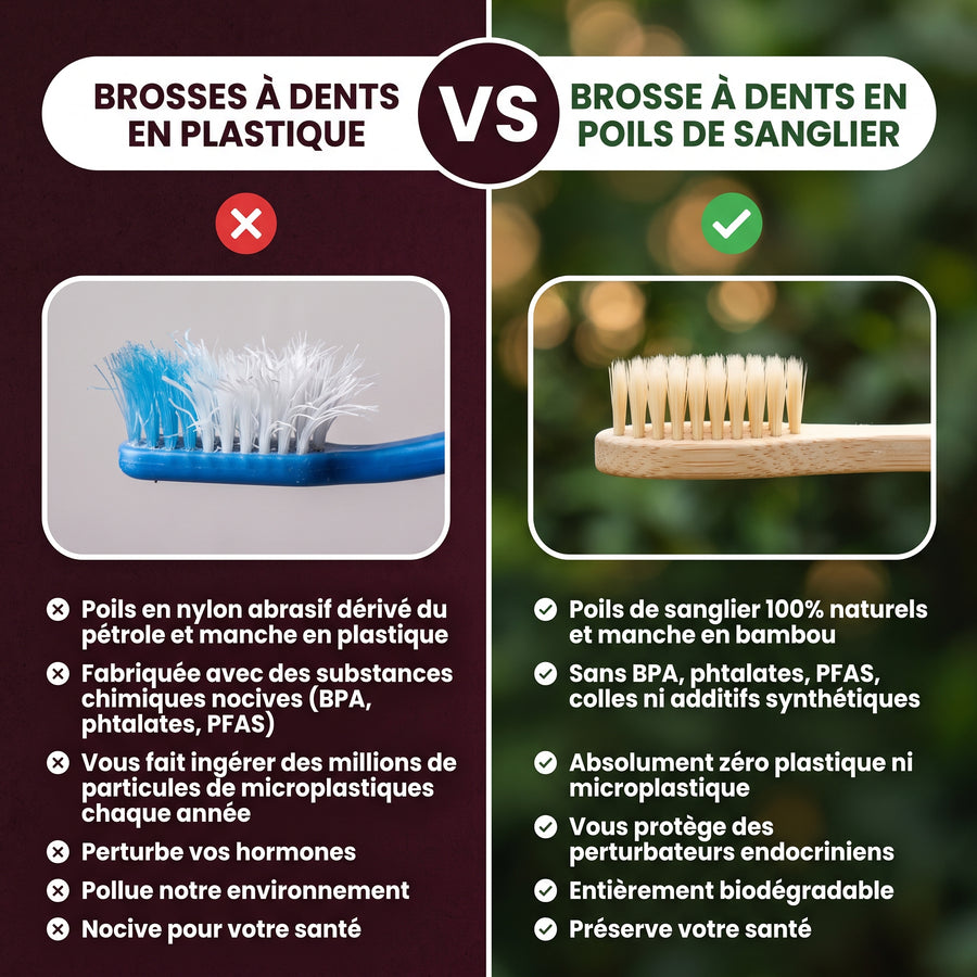 Brosse Vitéa comparée à une brosse bambou classique à soies nylon