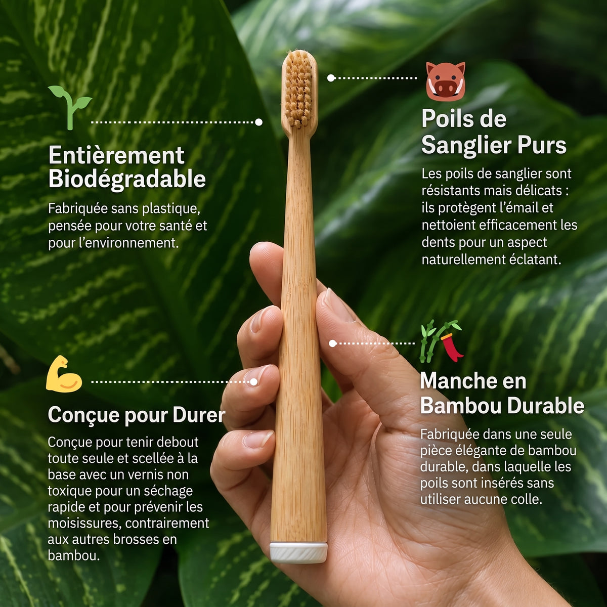 Vitéa™ Brosse à Dents Bambou & Soies de Sanglier