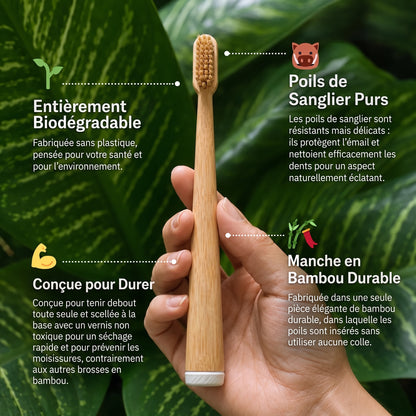 Vitéa™ Brosse à Dents Bambou & Soies de Sanglier
