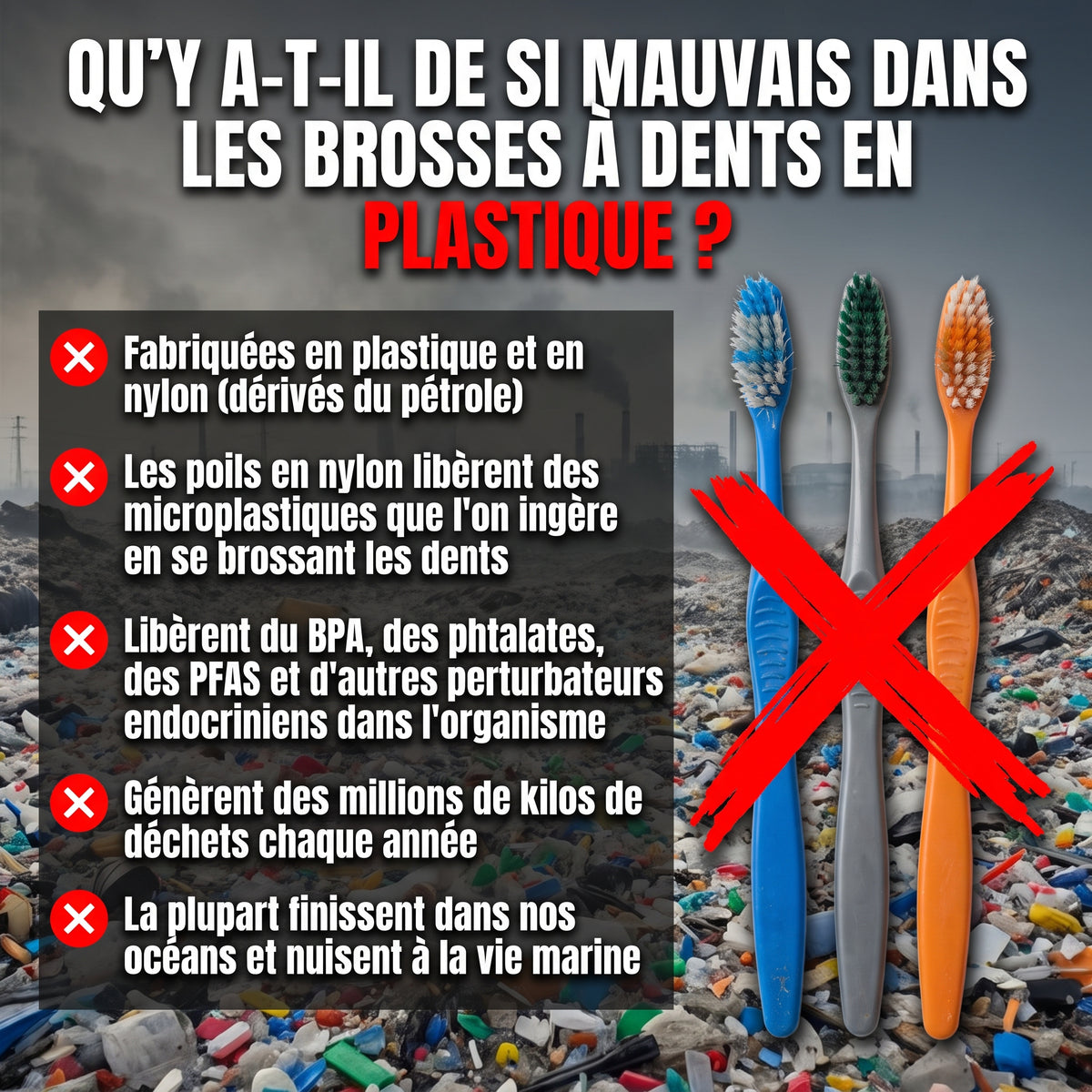 Vitéa™ Brosse à Dents Bambou & Soies de Sanglier