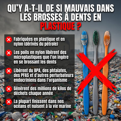 Vitéa™ Brosse à Dents Bambou & Soies de Sanglier